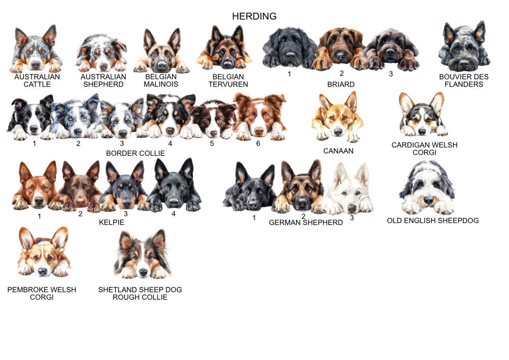 Personalised Mother's Day Card from the Dog Herding Dog Options Sheet