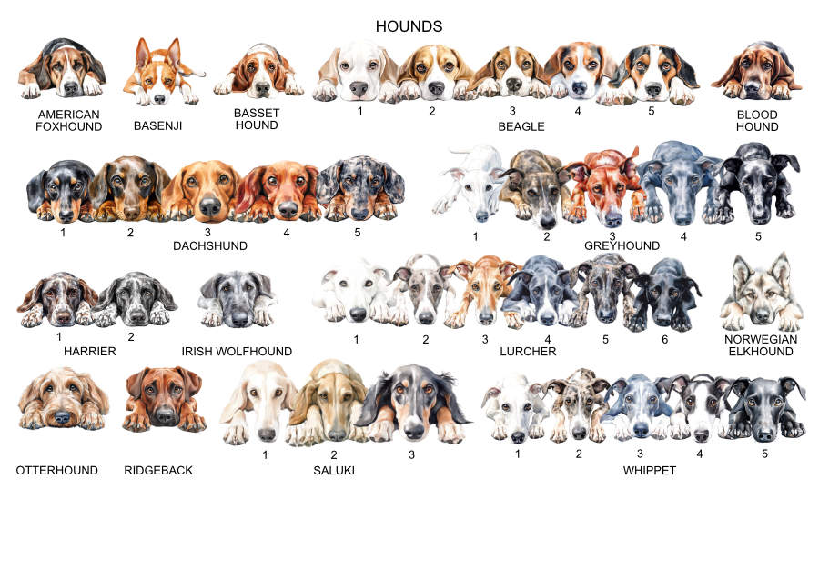 Personalised Mother's Day Card from the Dog Hounds Dog Options Sheet