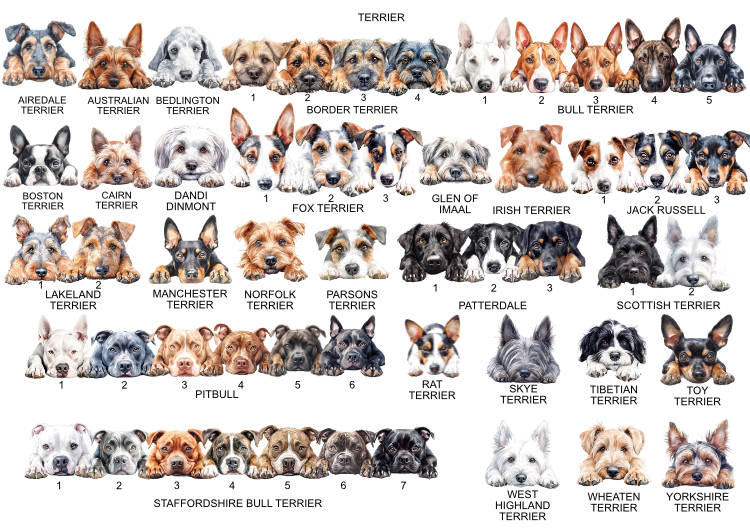 Personalised Mother's Day Card from the Dog Terrier Dog Options Sheet